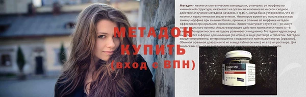 прущие грибы Магас