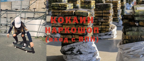 прущие грибы Магас