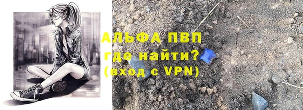 прущие грибы Магас