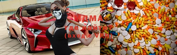 прущие грибы Магас