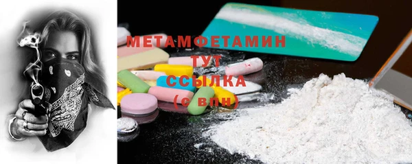 прущие грибы Магас